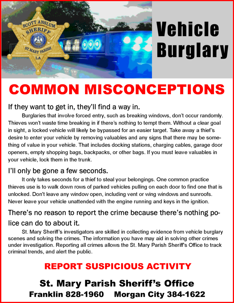 Vehicle Burglary Prevention Fact Sheet February 2018 .png