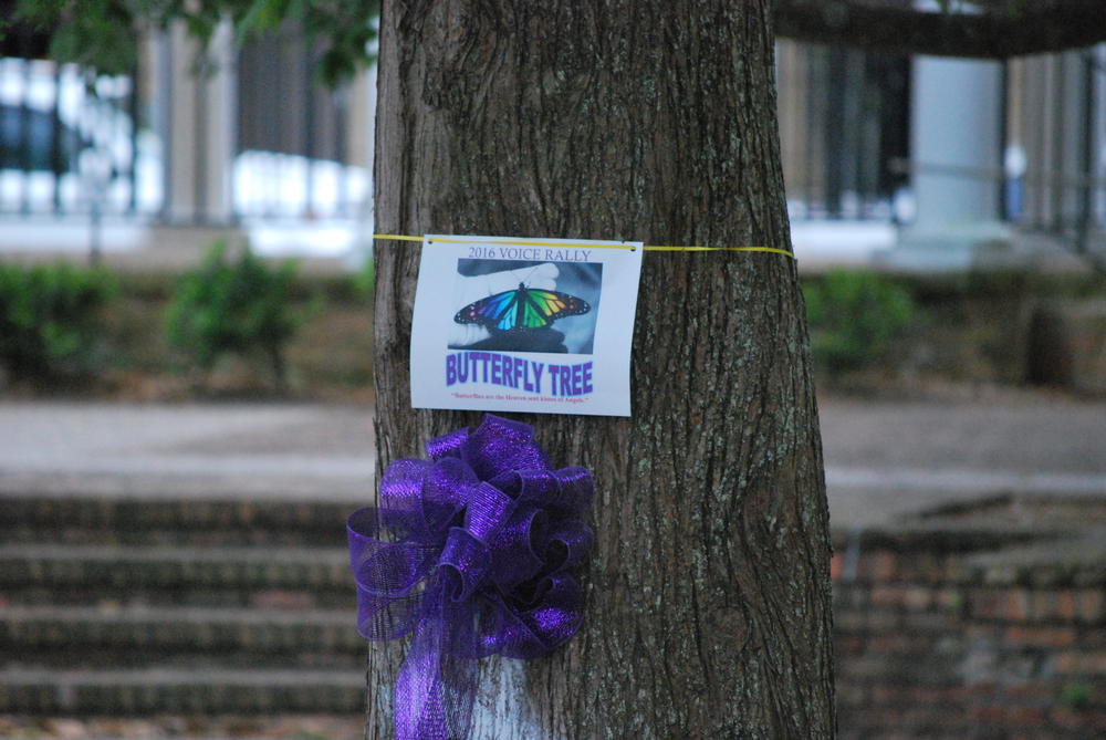 paper tied to a tree that says Butterfly Tree